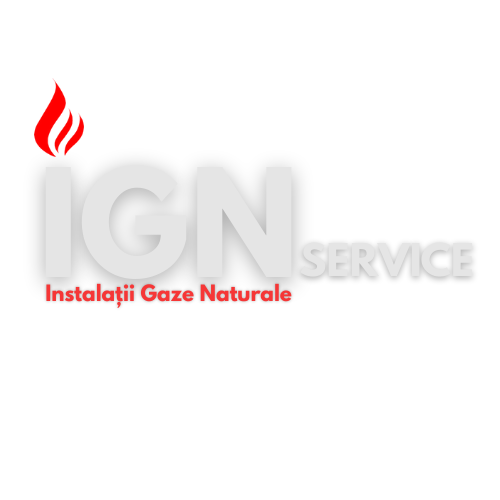 IGN SERVICE Logo